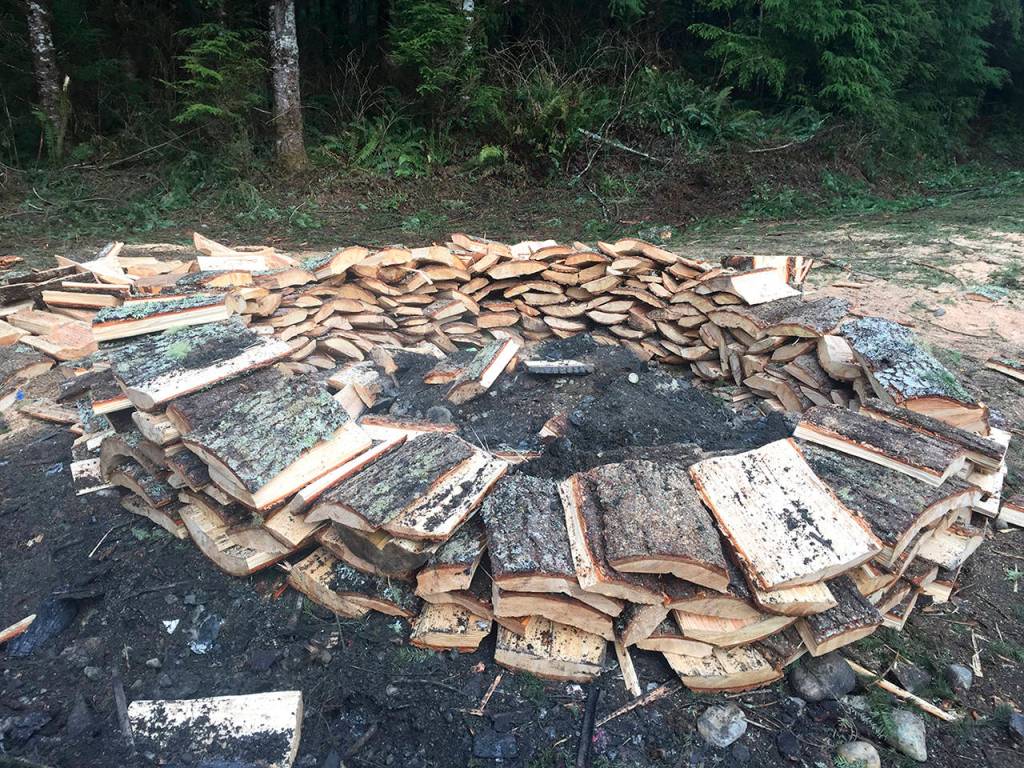A forester later valued at $7,000 the nearly 20 trees that had been removed or were damaged. (Washington State Department of Natural Resources)