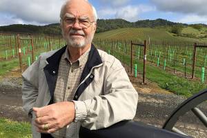 Spain’s tempranillo gaining in popularity across Northwest