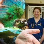 Exotic animals find compassionate care in Bothell (video)