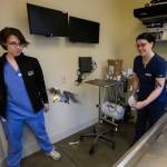 Dr. Lara Backus (left) and vet tech K.C. Dill watch a cockatiel named Milhouse fly to the floor after a feather clipping. (Andy Bronson / The Herald)