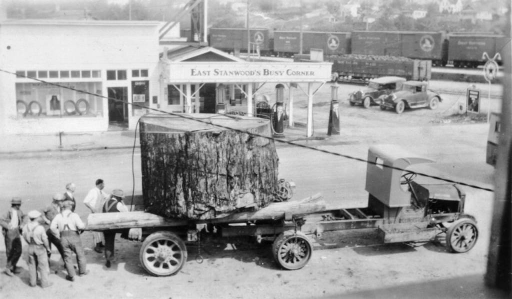 A section of a fir log cut by English Lumber Co. in 1928 near Lake Cavanaugh and hauled to Stanwood. It was later moved to the front of the D.O. Pearson House. A new oral histories project in Stanwood and Camano Island aims to collect memories and chronicle how times have changed. (Stanwood Area Historical Society)