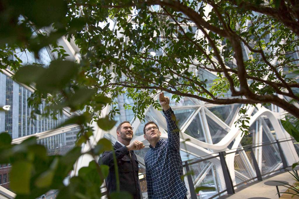 Ron Gagliardo (right), Senior Manager of Horticultural Services at Amazon.com, discusses various plant species with John Schoettler, VP of Global Real Estate and Facilities. (Mike Kane/Bloomberg)