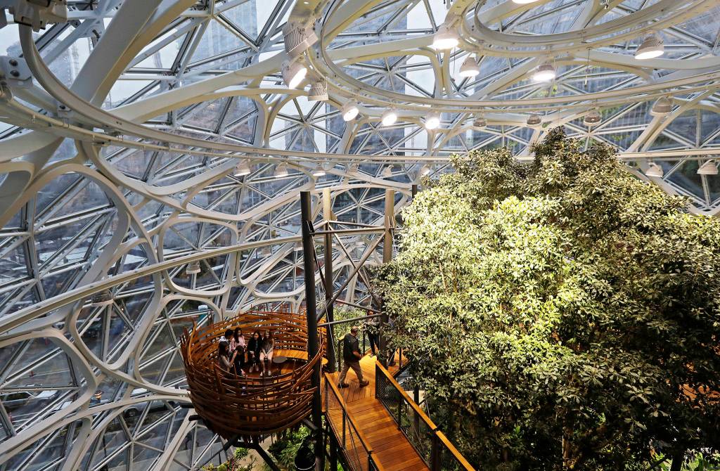 Guests sit in an area of the Amazon Spheres known as the nest, on the day of the Spheres grand opening in Seattle. (AP Photo/Ted S. Warren)