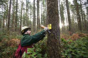 What’s in a name? A bit of fun