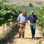 Washington’s first plantings of riesling predated statehood