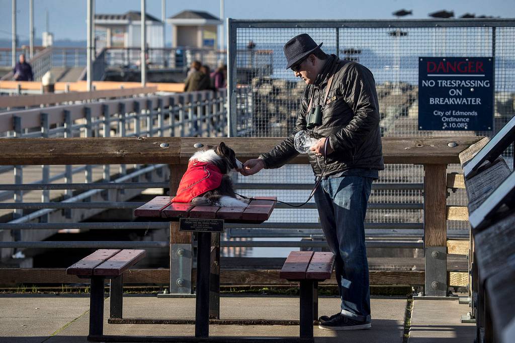 Damian Dutchover, of Bothell, gives his border collie, Kenzie, a treat while enjoying a walk along the Edmonds waterfront on Jan. 30. (Ian Terry / The Herald)