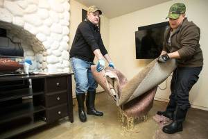 This homeowner embraces the cycle of life in a flood zone