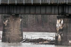 A log jam forms at the Centennial Trail overpass Sunday afternoon at Haller Bridge Park in Arlington on February 4, 2018. (Kevin Clark / The Daily Herald)