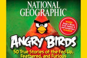 The real angry birds (and other irate, dangerous animals)
