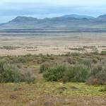 Two 500-year-old Idaho skeletons sought by 3 tribes