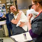 Jillian Woolley, a certified veterinary technician, takes care of a cat at Bayshore Animal Hospital in Warrenton, Oregon. Lawmakers in Washington state are considering a bill that would allow nonprofit shelters to offer a broader range of veterinary services to low-income families and seniors. (Danny Miller/Daily Astorian via AP)