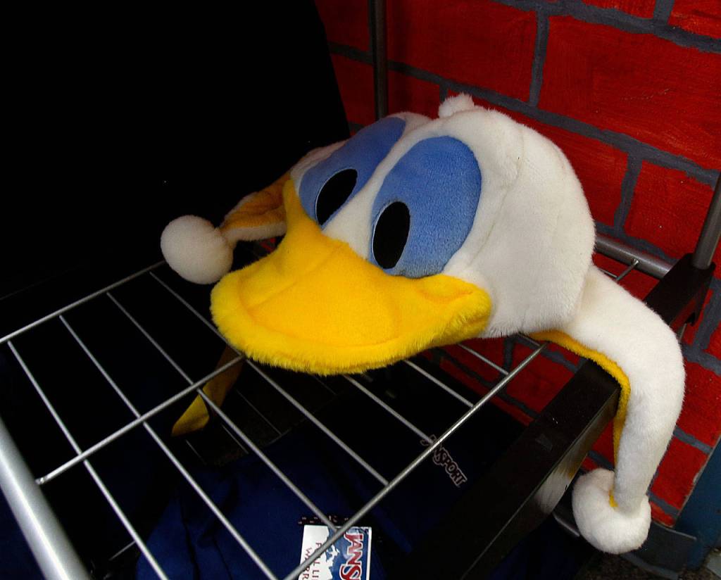 One of those cheerful seagull caps may appear a little sad on a shelf in an Everett High School storage room, but it will soon be back cheering at a Seagulls game. Senior Danielle Scanes is starting a thrift shop at school with plans to sell donated, recycled blue and gold spirit gearnothing priced over $5to give all kids a chance to show their school colors. (Dan Bates / The Herald)