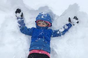 Herald photos of the week