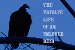 Vultures, squids, flies, jellyfish deserve your appreciation