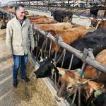 Former Republican presidential candidate Mitt Romney looks on during a tour of Gibsons Green Acres Dairy on Friday in Ogden, Utah. (AP Photo/Rick Bowmer)