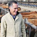 Mitt Romney is running for Senate in Utah