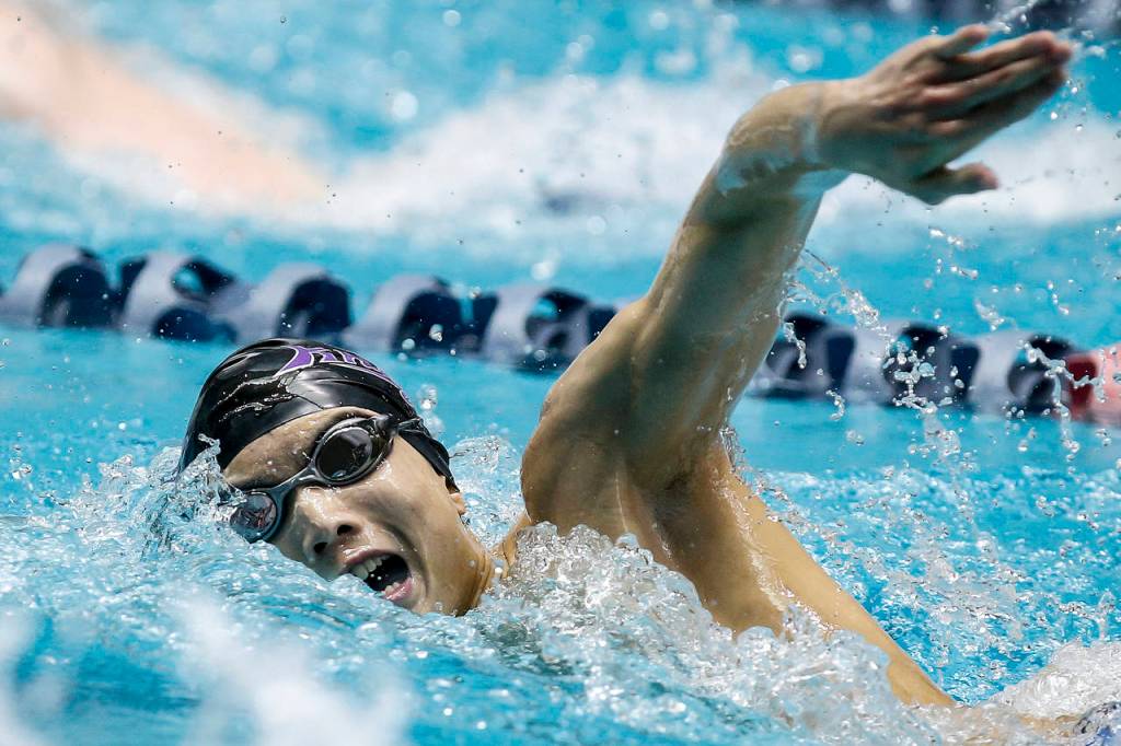 Kamiaks Maxwell Fang swims to third place in the 200-yard freestyle at the 4A state boys swimming and diving championships at the King County Aquatic Center in Federal Way. (Ian Terry / The Herald)