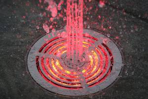 Herald photos of the week