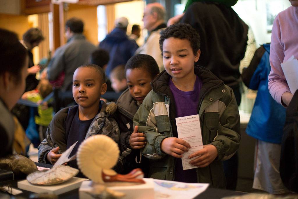 Become a Junior Paleontologist and hone your prehistoric sleuthing skills. (Dennis Wise)