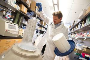 The jury’s out on stem cell treatments for arthritic pain