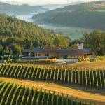 The Penner-Ash Estate Vineyard near Newberg, Oregon, is the easternmost planting in the Yamhill-Carlton American Viticultural Area. (Photo courtesy of Jackson Family Wines)
