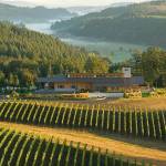 Oregon has retained its laser focus on bottling pinot noir