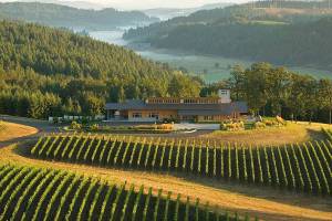 Oregon has retained its laser focus on bottling pinot noir