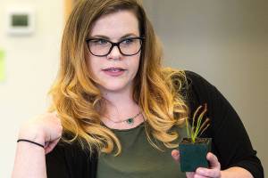 Yummo! Everett woman’s business is all about bug-eating plants