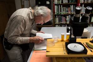 Gardening tools: Experts help through hotline, drop-in clinics