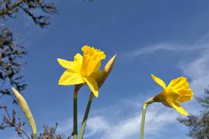 A record-warm day in Everett and all over Western Washington