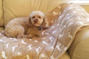 Cuddle up with the latest comfort trend: a weighted blanket