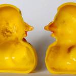 Yucky ducky: Study reveals bath-time toy’s dirty secret