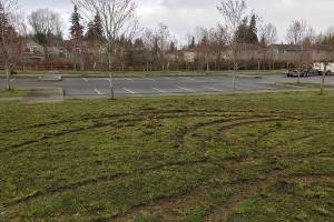 Vandals cause $7,600 in damage at Lynnwood park
