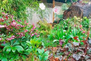 Housework — and hope — springs eternal