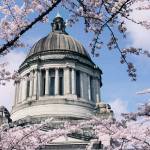 State will spend millions on task forces and reports