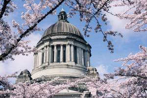 State will spend millions on task forces and reports