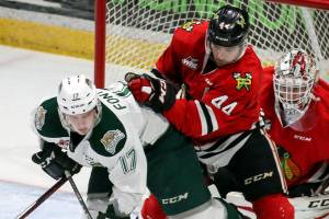 Tips vs. Winterhawks preview: How they stack up