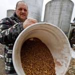 Richard McNulty of Sankeys Feed Mill shows a bucket of roasted soybeans Thursday in Volant, Pennsylvania. (AP Photo/Keith Srakocic)