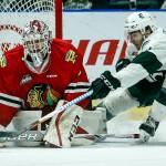 Silvertips center Connor Dewar (right) pressures Portland goaltender Cole Kehler during a second round playoff game at Angel of the Winds Arena in Everett on Saturday, April 7. (Ian Terry / The Herald)