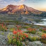 Mount St. Helens (Stacey Arnold)
