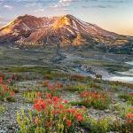 Stacey Arnold: Hiking photographer
