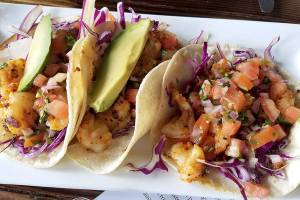 From appetizers to dessert: FIVE full of gastronomic surprises