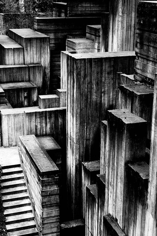 Standing Tall, a photography by Edmonds-Woodway junior Ken Razo, won a gold medal in this years national Scholastic Art & Writing Awards competition.