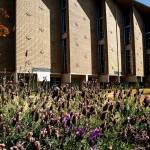 Spirit of Grace United Methodist Church, at 3530 Colby Ave. in Everett stood ready for demolition July 7. It is being removed to make room for a new home for Cocoon House. (Dan Bates / The Herald)