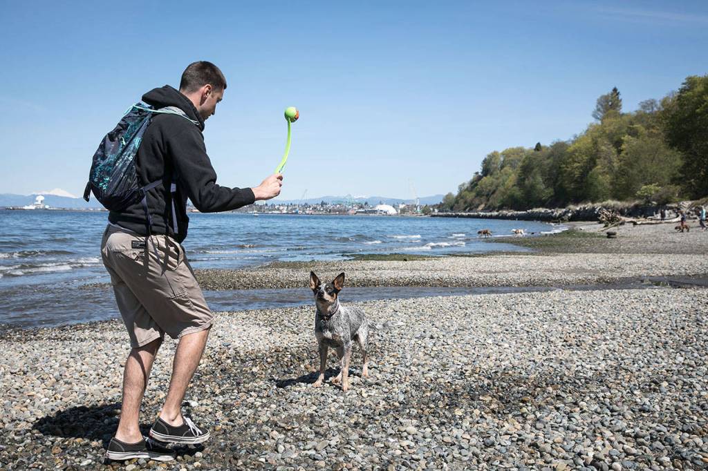 Tyler West and his dog, Blue, enjoy a midday walk Monday at Howarth Park. (Lizz Giordano / The Herald)