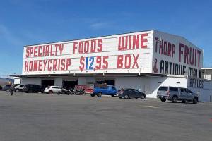 Parenting is like one long road trip — just remember to brake