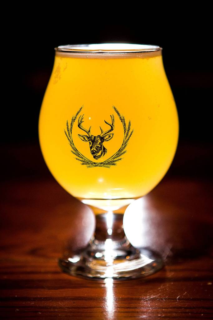 Ultimate Sour Beer: First Light Apricot Sour, Spada Farmhouse Brewery. (Ian Terry / The Herald)