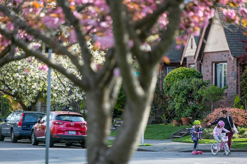 Photo by Paul Joseph Brown/InvestigateWest