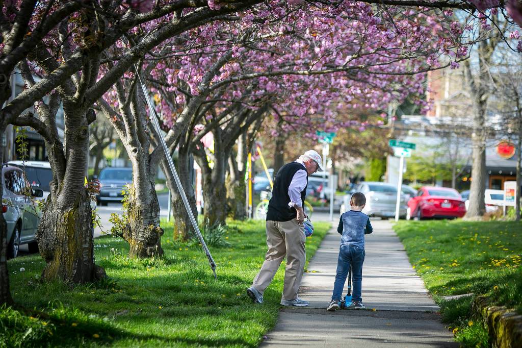 Throwing shade: How a lack of trees hurts Seattle minorities