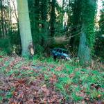 An infant and a child were killed in this Dec. 13, 2016, crash on Camano Island. (Washington State Patrol)